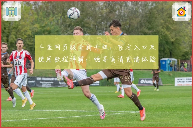 斗鱼网页版全新升级，官方入口及使用教程详解，畅享高清直播体验