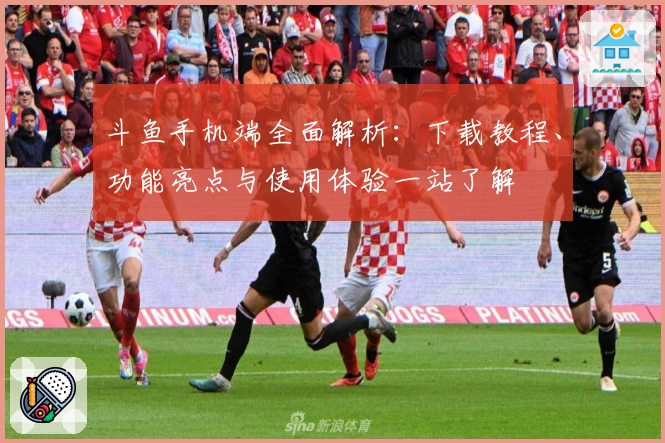 斗鱼手机端全面解析：下载教程、功能亮点与使用体验一站了解