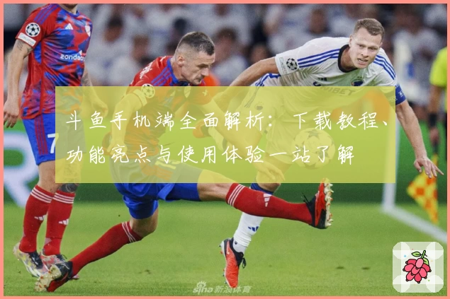 斗鱼手机端全面解析：下载教程、功能亮点与使用体验一站了解