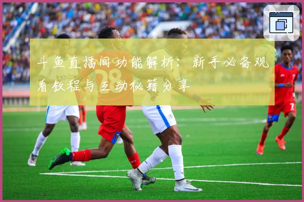 斗鱼直播间功能解析：新手必备观看教程与互动秘籍分享