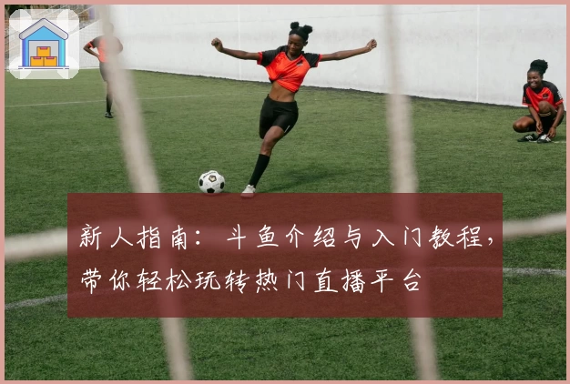 新人指南：斗鱼介绍与入门教程，带你轻松玩转热门直播平台