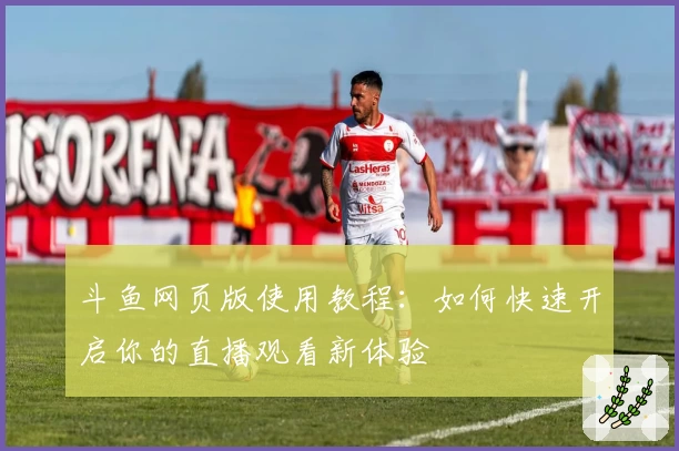 斗鱼网页版使用教程：如何快速开启你的直播观看新体验