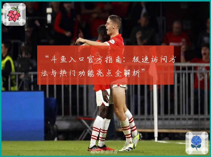 “斗鱼入口官方指南:极速访问方法与热门功能亮点全解析”