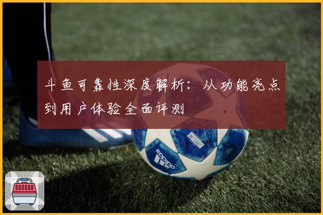 斗鱼可靠性深度解析:从功能亮点到用户体验全面评测