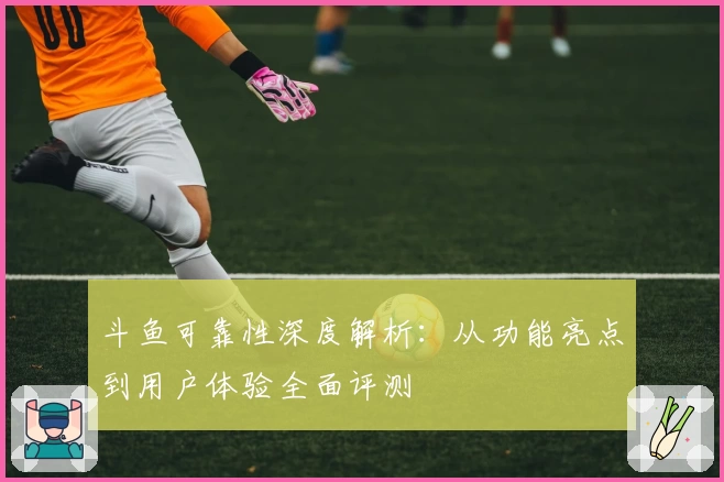 斗鱼可靠性深度解析：从功能亮点到用户体验全面评测