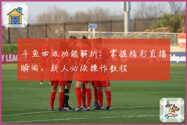 斗鱼回放功能解析：掌握精彩直播瞬间，新人必读操作教程