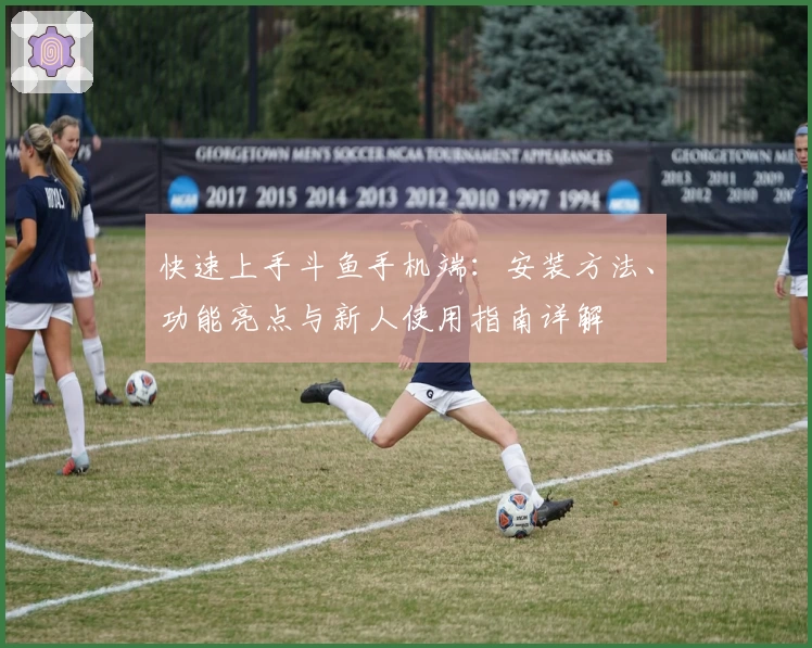 快速上手斗鱼手机端：安装方法、功能亮点与新人使用指南详解