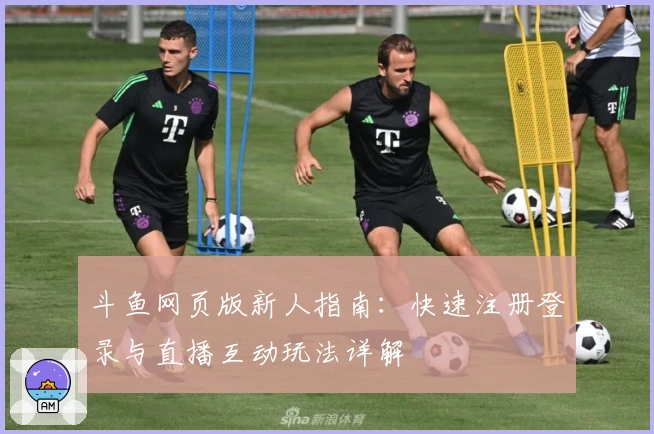 斗鱼网页版新人指南：快速注册登录与直播互动玩法详解