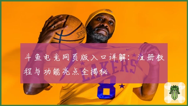 斗鱼电竞网页版入口详解：注册教程与功能亮点全揭秘